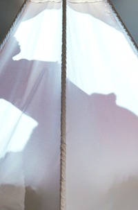 Photo 07