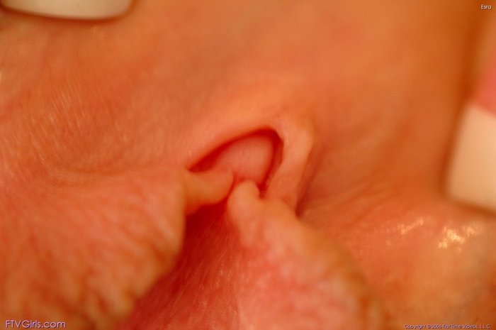 Picture 04