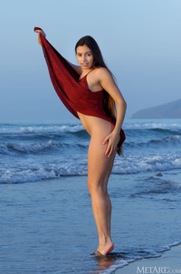 Photo 04