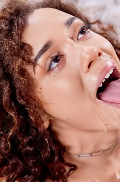Office Walls Echo Willow Ryders Passionate Cries